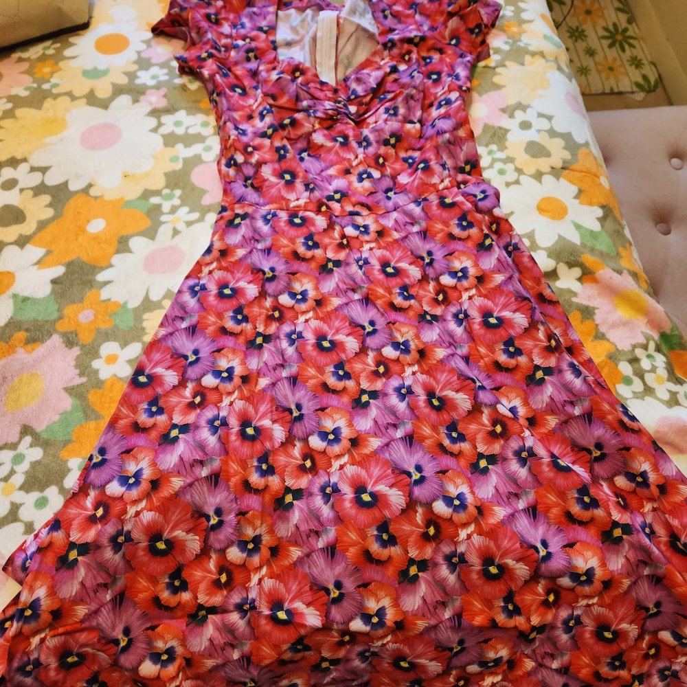 Bernie Dexter Chelsea Dress in Pink Plumeria